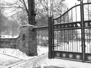 Atlanta Snow day - Piedmont park